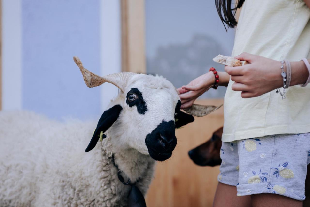Agribenessere Agli Abatti 巴尔杰 外观 照片